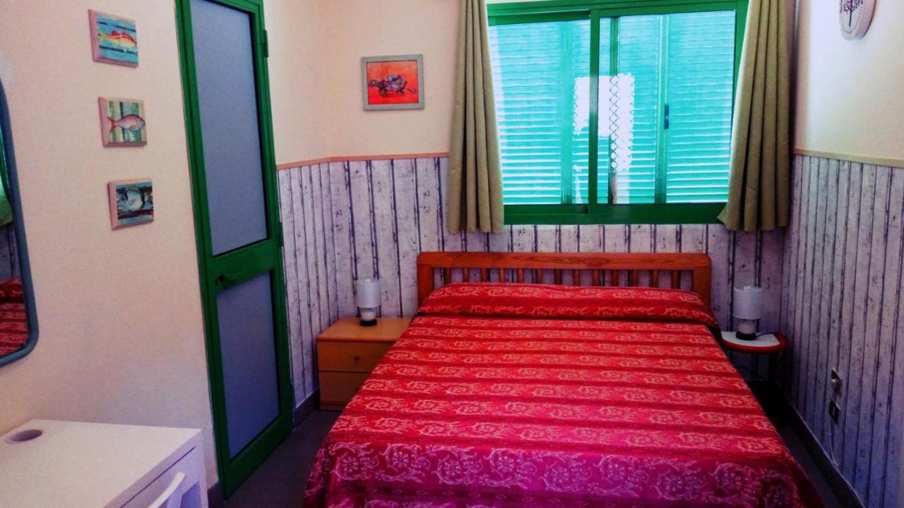 مارينا دي كاستانييتو كاردوتشي Hotel Lupo Di Mare المظهر الخارجي الصورة
