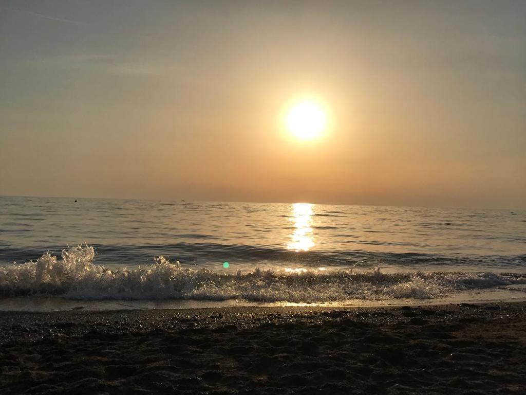 مارينا دي كاستانييتو كاردوتشي Hotel Lupo Di Mare المظهر الخارجي الصورة