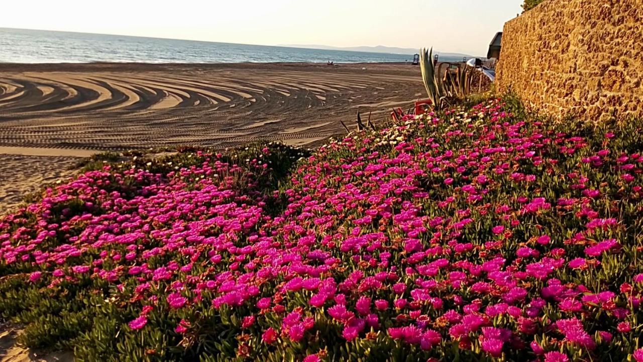 مارينا دي كاستانييتو كاردوتشي Hotel Lupo Di Mare المظهر الخارجي الصورة